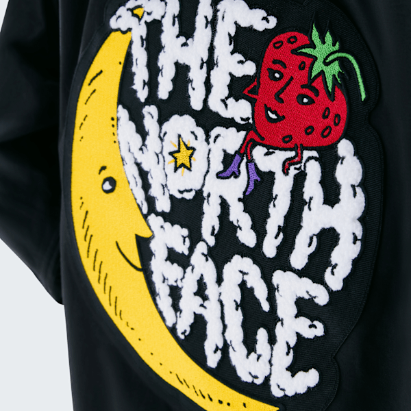 کاپشن کوهستان TNF X Sky High Farm