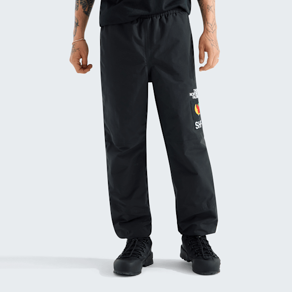 شلوار کوهستان TNF X Sky High Farm مردانه