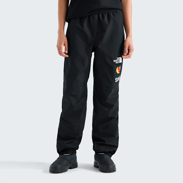 شلوار کوهستان TNF X Sky High Farm مردانه