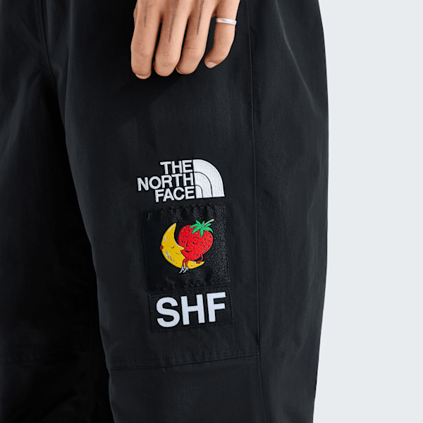 شلوار کوهستان TNF X Sky High Farm مردانه