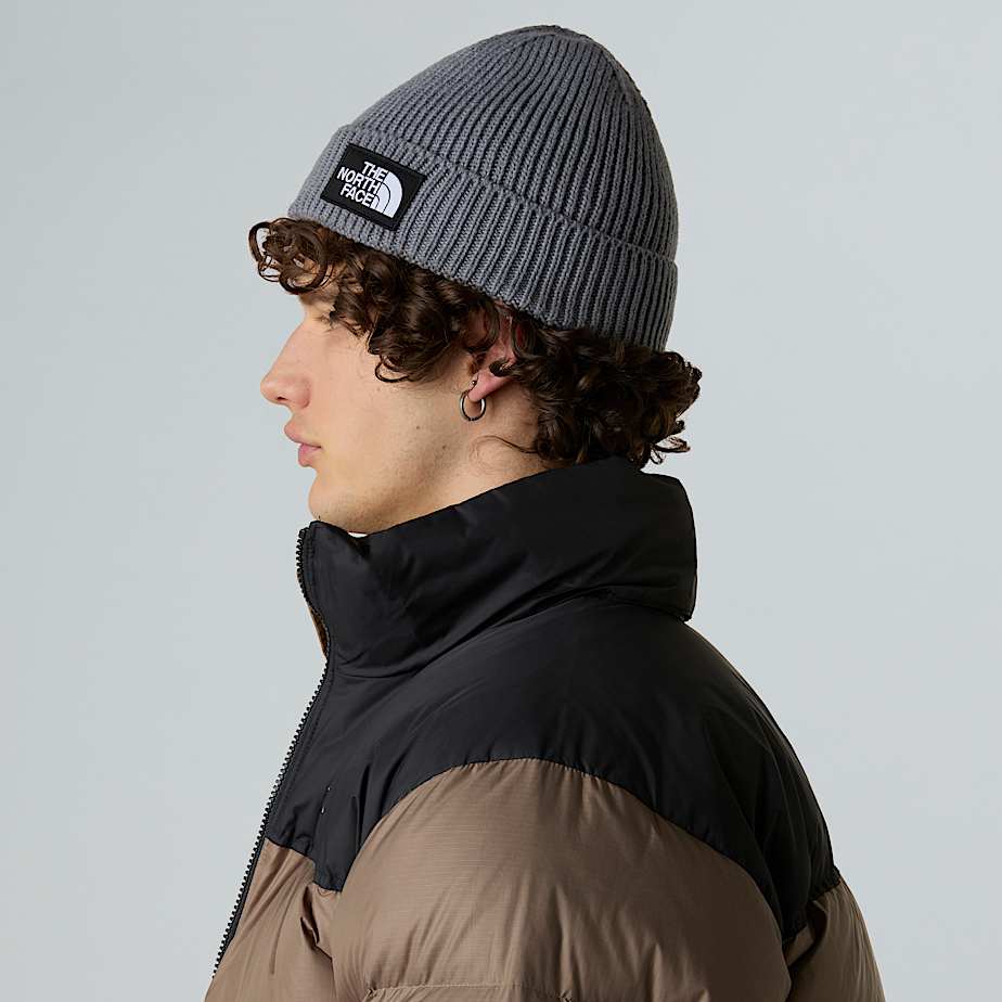 کلاه کلاسیک مدل TNF™ Logo برند نورث فیس